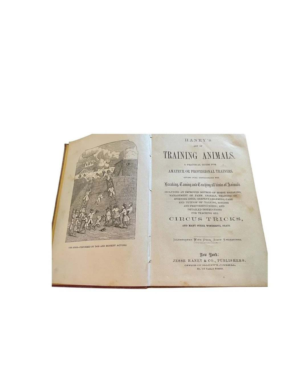 1869 